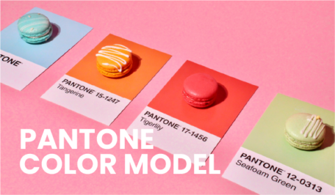 All You Need To Know: CMYK vs RGB vs Pantone